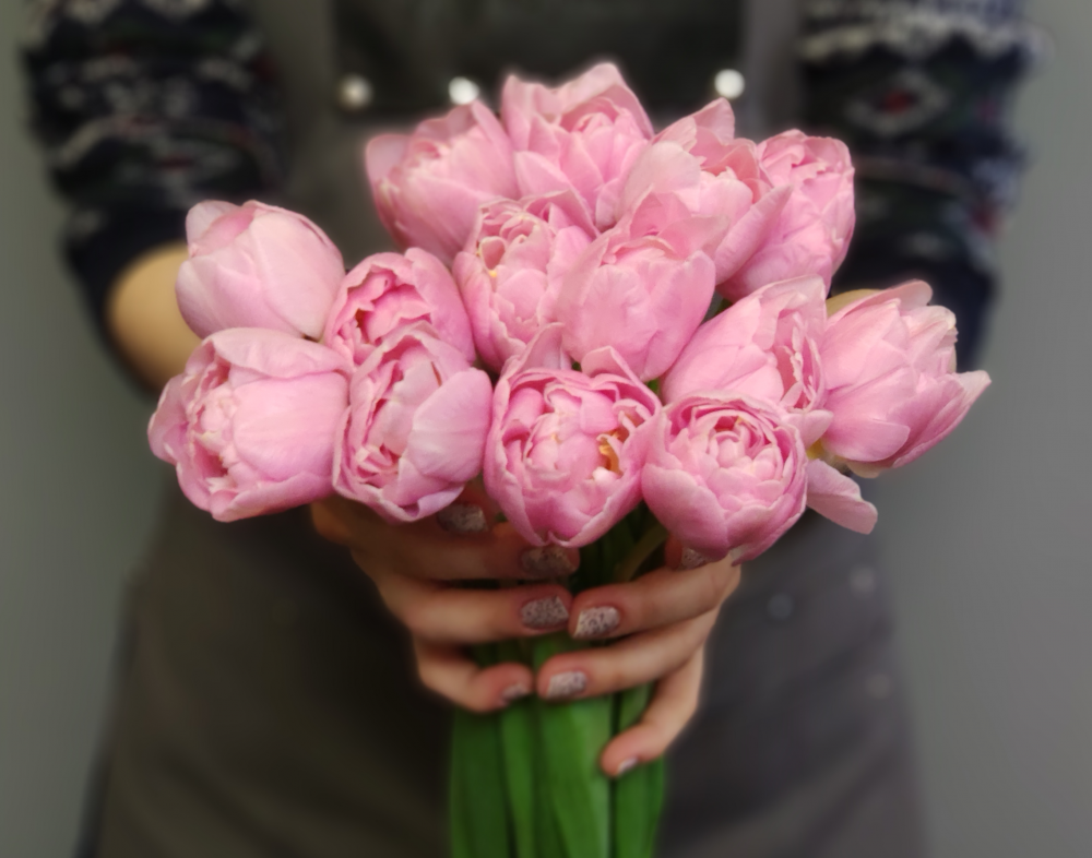 Тюльпан Розовый Подснежник